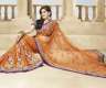 NEW Collection Bollywood Indien saree...
